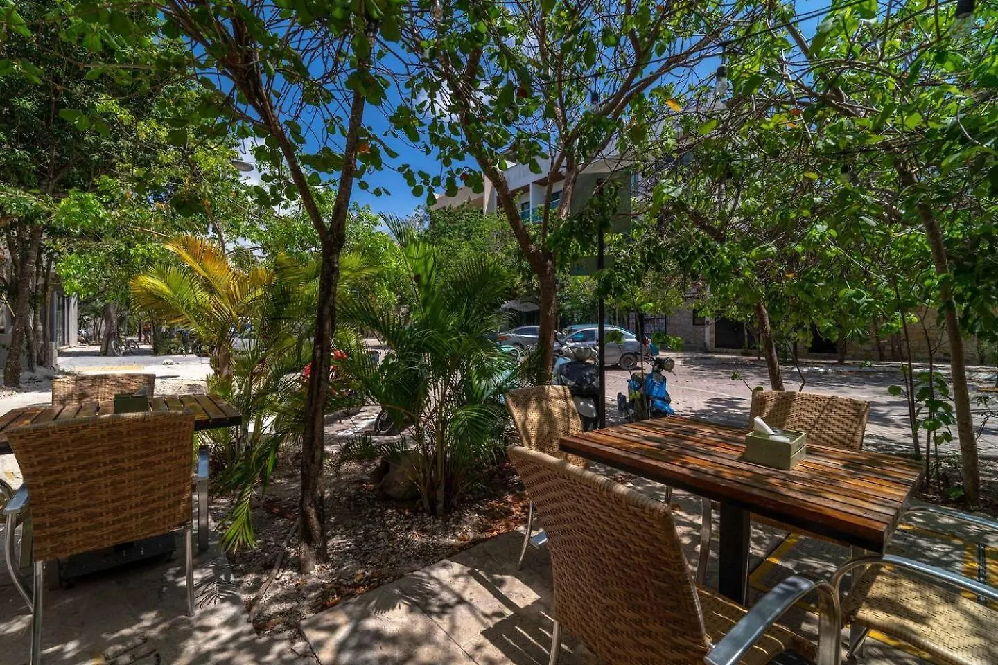 Holiday home Lux Studio With Private Plunge Pool And Gym Tulum